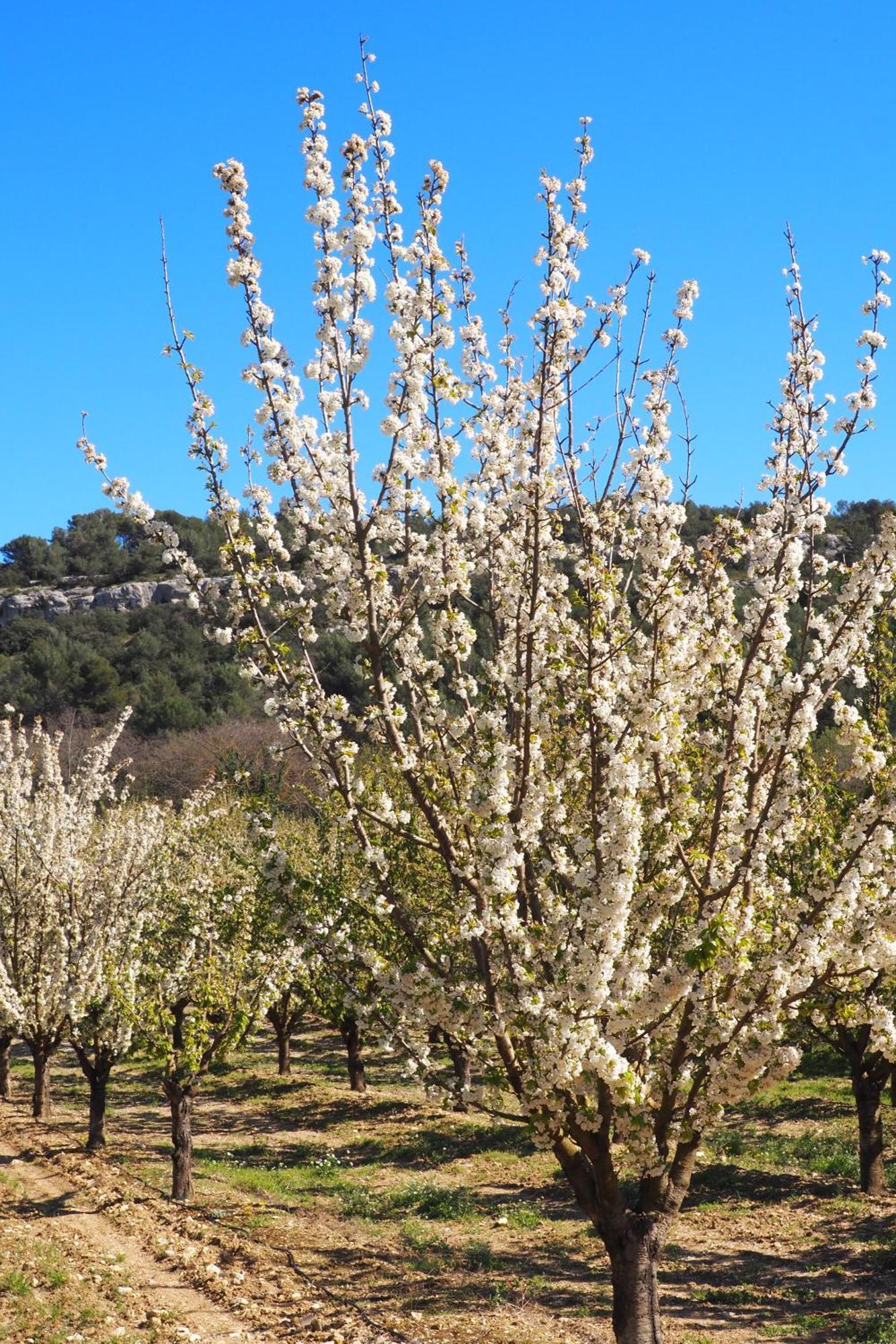 Chambres D'Hotes Le Relais Des Marmottes En Luberon Lagnes Luaran gambar