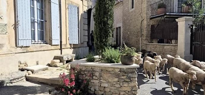 Chambres D'Hotes Le Relais Des Marmottes En Luberon Lagnes Luaran gambar